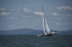 CAW_4215