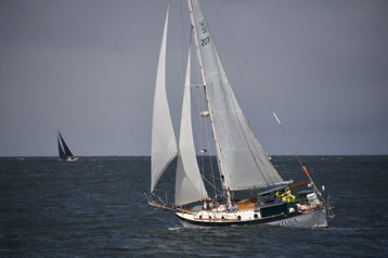 NCS_8991