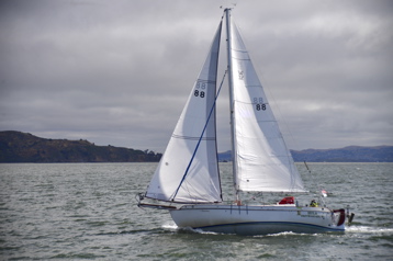 NCS_8908