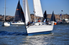 NCS_9623