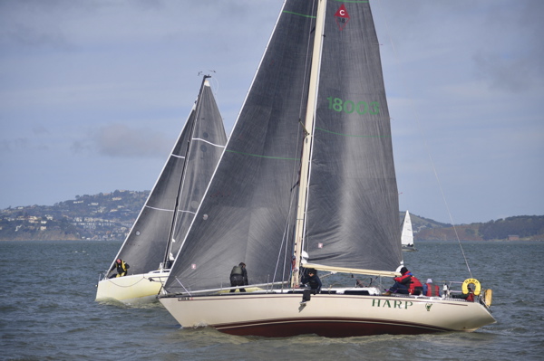 NCS_1761