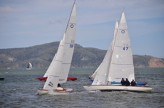 NCS_1784