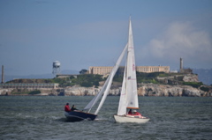 NCS_1798