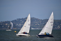 NCS_1806