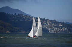 NCS_1809