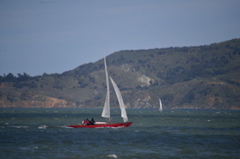 NCS_1812