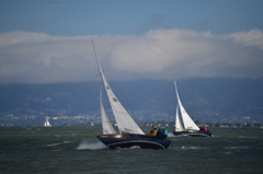 NCS_1859