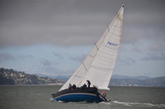 NCS_1689