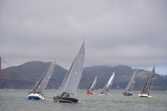 NCS_1729