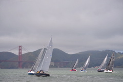 NCS_1731