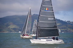 NCS_1769