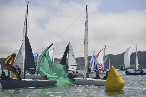 NCS_2013