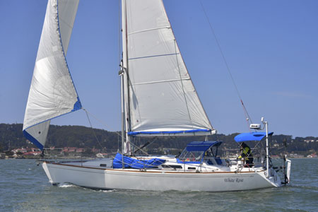 NCS_2234