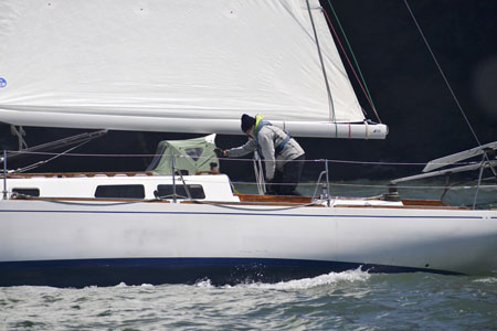 NCS_2339