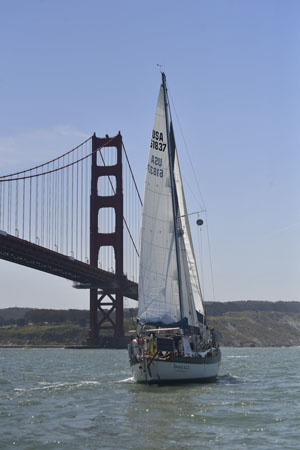 NCS_2409