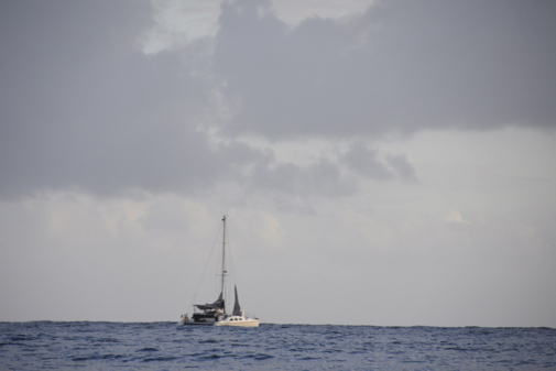 CAW_9078