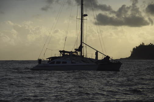 CAW_9081