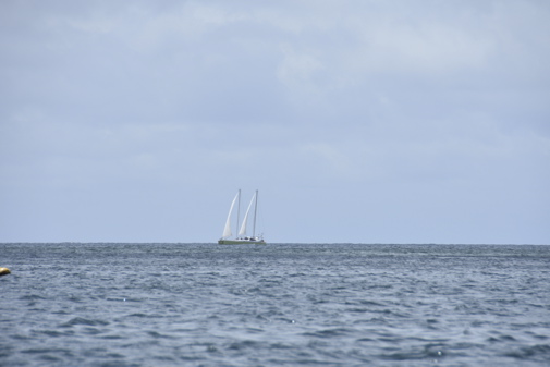 CAW_9016