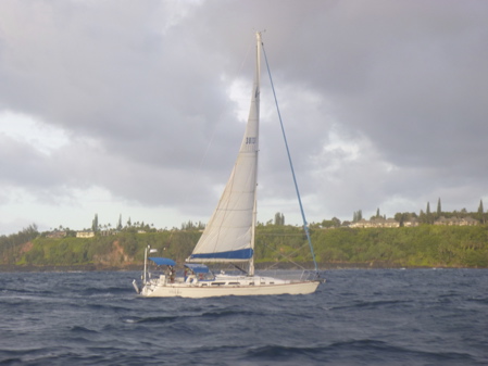 P1010729