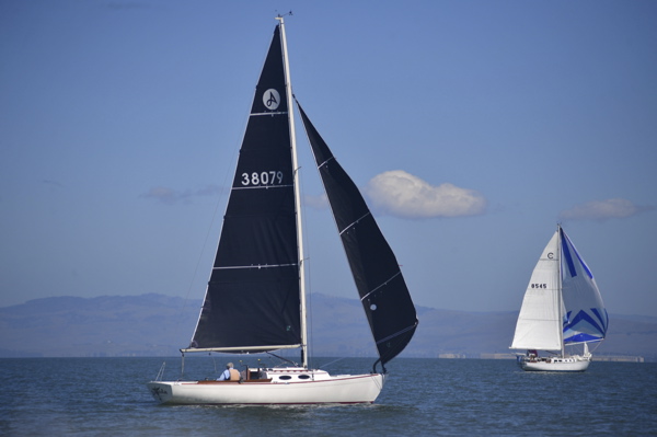 NCS_2504