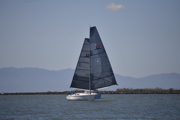 NCS_2506
