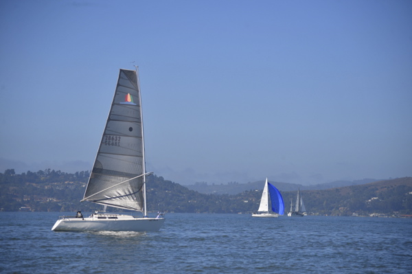 NCS_2493