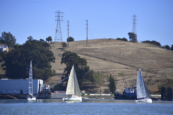 NCS_2533